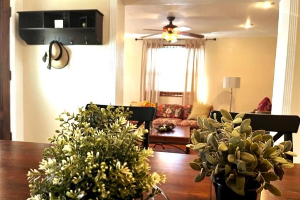 House Close To Downtown, Airport, Raymond James Stadium, And Many More Places Tampa Exterior foto